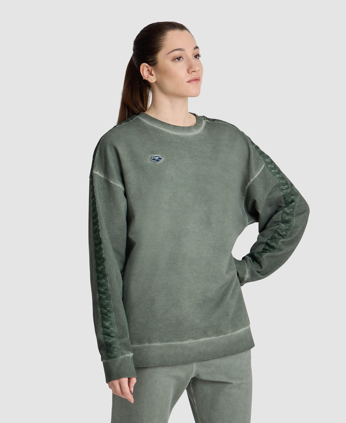 arena Icons Unisex Oversize Sweatshirt