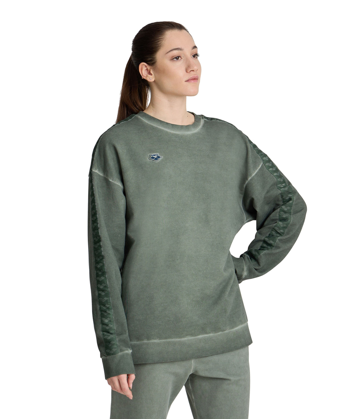 arena Icons Unisex Oversize Sweatshirt