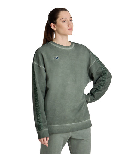 arena Icons Unisex Oversize Sweatshirt
